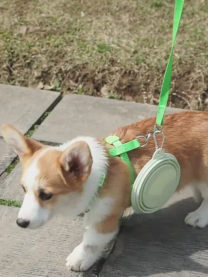 Foldable Silicone Pet Feed Bowl