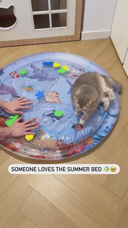 Keep babies and pets happy play mat.